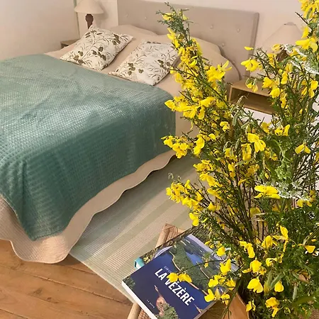 Πανσιόν Les Ambiances Du Coly, La Vezere Condat-sur-Vezere